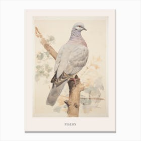 Vintage Bird Drawing Pigeon 1 Poster Canvas Print