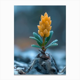 Flower Blooming On Rocks Canvas Print