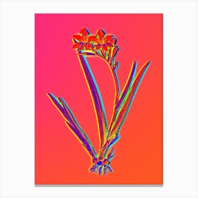 Neon Gladiolus Cardinalis Botanical in Hot Pink and Electric Blue n.0475 Canvas Print
