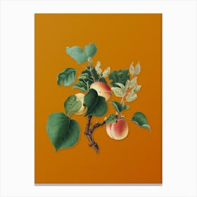 Vintage Apricot Botanical on Sunset Orange Canvas Print
