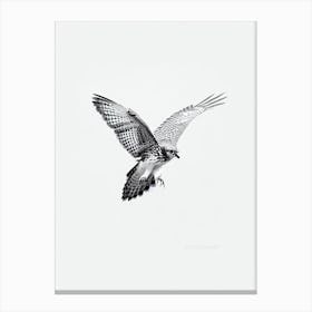Red Tailed Hawk B&W Pencil Drawing 1 Bird Canvas Print