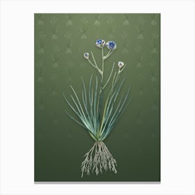 Vintage Blue Corn Lily Botanical on Lunar Green Pattern n.0913 Canvas Print