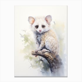 Light Watercolor Painting Of A Greater Glider 3 Canvas Print