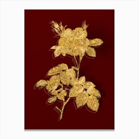 Vintage White Rose Botanical in Gold on Red n.0448 Canvas Print