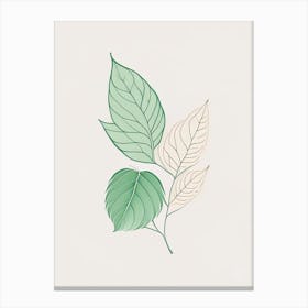 Mint Leaf Contemporary 5 Canvas Print