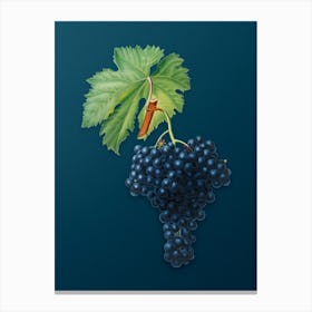 Vintage Fuella Grapes Botanical Art on Teal Blue n.0080 Canvas Print