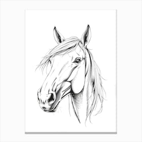 Horse Head Drawing 1 Canvas Print