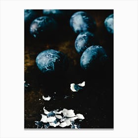 Blue Plums 1 Canvas Print