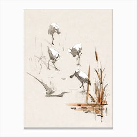 Greeting Card With Four Spoonbills, Theo Van Hoytema Canvas Print
