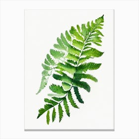 American Maidenhair Fern Watercolour Canvas Print