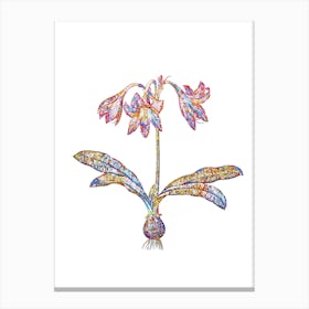 Stained Glass Netted Veined Amaryllis Mosaic Botanical Illustration on White n.0093 Canvas Print