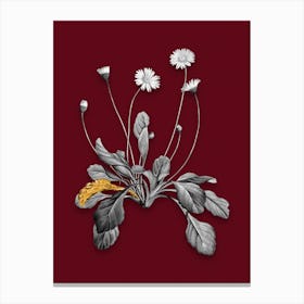 Vintage Daisy Flowers Black and White Gold Leaf Floral Art on Burgundy Red n.0167 Canvas Print
