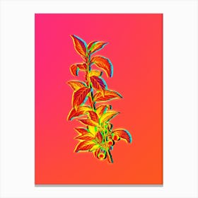 Neon Cherry Botanical in Hot Pink and Electric Blue n.0439 Canvas Print