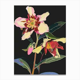 Neon Flowers On Black Hellebore 1 Canvas Print