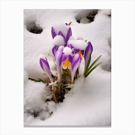 Beautiful Winter Flowers 42 Canvas Print