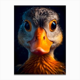 Duckling Canvas Print