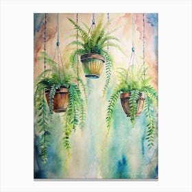 Three Potted Plants Canvas Print