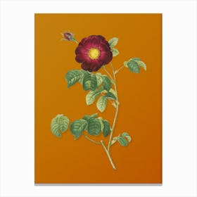Vintage Rose Botanical on Sunset Orange n.0308 Canvas Print