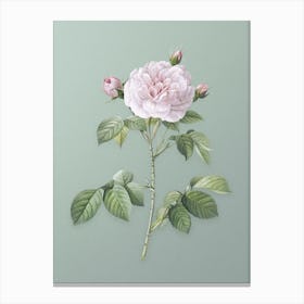 Vintage Rosa Alba Botanical Art on Mint Green n.0076 Canvas Print