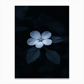 Dark Flower 5 Canvas Print