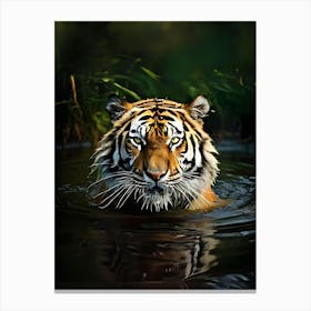 Tiger In Water Canvas Print
