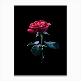 Rose On A Black Background 16 Canvas Print