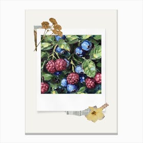 Scrapbook Blueberries Fairycore Painting 2 Canvas Print