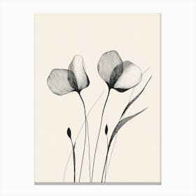 Poppies 1 Canvas Print