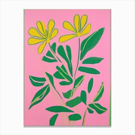 Pink and yellow Flowers Canvas Print