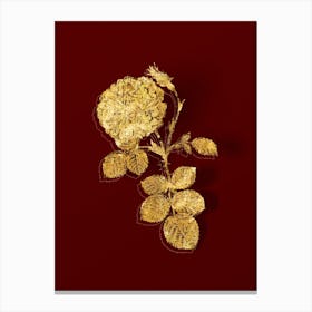 Vintage White Rose of York Botanical in Gold on Red 1 Canvas Print