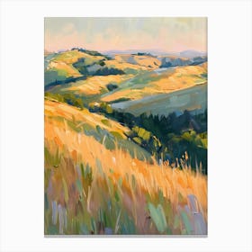 California Sunset Canvas Print