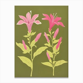 Pink & Green Fuchsia 3 Canvas Print