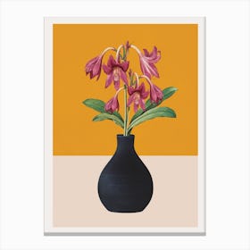 Flowers in Black Vase 1 Canvas Print