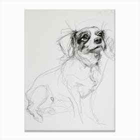Cavalier King Charles Charcoal Line 2 Canvas Print