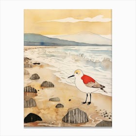 Bird Illustration Dunlin 1 Canvas Print