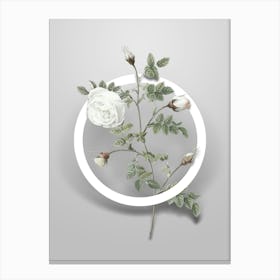 Vintage Silver Hispid Rose Minimalist Botanical Geometric Circle on Soft Gray n.0454 Canvas Print