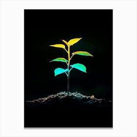 Tree Growing In The Dark 2 Canvas Print