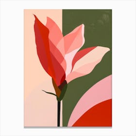 Magnolia 14 Canvas Print