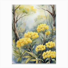 Australia Golden Wattle Flowers In The Forest Canvas Print