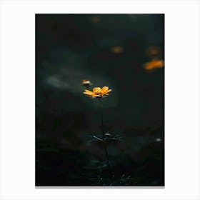 Yellow Flower In The Dark 3 Canvas Print