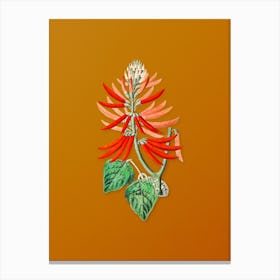 Vintage Naked Flowering Erythrina Botanical on Sunset Orange n.0376 Canvas Print