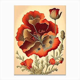 Desert Poppy Wildflower Vintage Botanical 2 Canvas Print