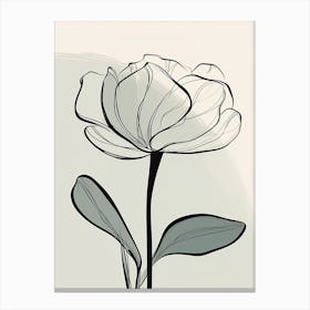 Line Art Tulips Flowers Illustration Neutral 2 Canvas Print