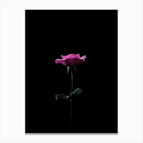 Rose In The Dark 11 Canvas Print