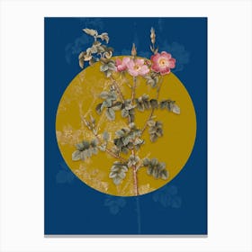 Vintage Botanical Prickly Sweetbriar Rose on Circle Yellow on Blue n.0034 Canvas Print