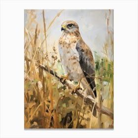 Bird Painting Eurasian Sparrowhawk 4 Canvas Print