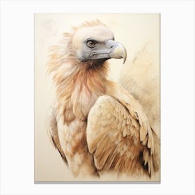 Vintage Bird Drawing Vulture 1 Canvas Print
