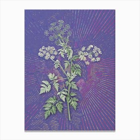 Vintage Hemlock Flowers Botanical Illustration on Veri Peri n.0076 Canvas Print