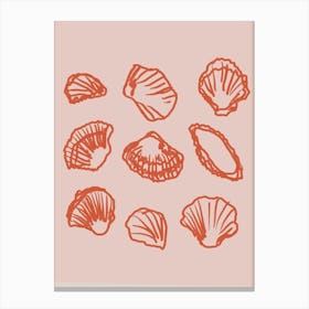 Shell secrets no 1 Canvas Print