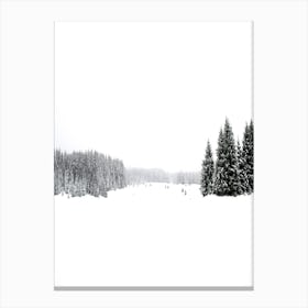 White White Winter 3 Canvas Print